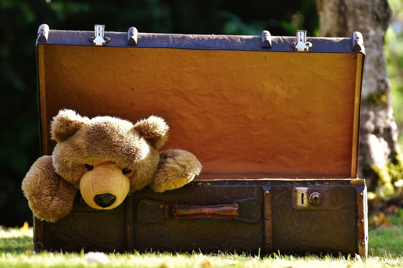 Vintage Suitcase Shelves